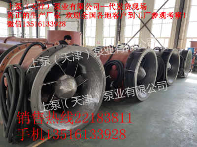 云南楚雄自動(dòng)化全貫流潛水電泵