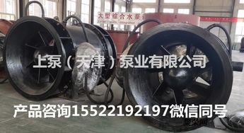 臥式全貫流泵在福建武夷山潛水貫流泵廠家的應用與發展